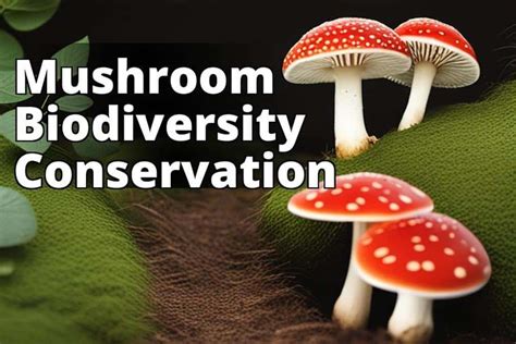The future prospects and research opportunities for the Magic Carpet mushroom